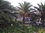 2010-09-07_Jezerski_Vrh_Kotor_001.jpg