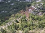 2010-09-07_Jezerski_Vrh_Kotor_018.jpg
