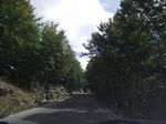 2010-09-07_Jezerski_Vrh_Kotor_029.jpg