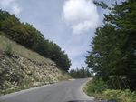 2010-09-07_Jezerski_Vrh_Kotor_037.jpg
