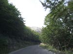 2010-09-07_Jezerski_Vrh_Kotor_039.jpg