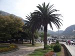 2010-09-07_Jezerski_Vrh_Kotor_132.jpg