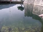 2010-09-07_Jezerski_Vrh_Kotor_150.jpg