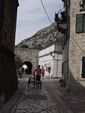 2010-09-07_Jezerski_Vrh_Kotor_168.jpg