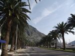 2010-09-07_Jezerski_Vrh_Kotor_186.jpg