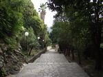 2010-09-07_Jezerski_Vrh_Kotor_196.jpg