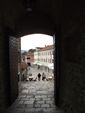 2010-09-07_Jezerski_Vrh_Kotor_203.jpg