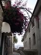 2010-09-07_Jezerski_Vrh_Kotor_217.jpg