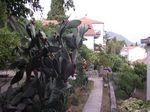 2010-09-07_Jezerski_Vrh_Kotor_223.jpg