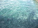 2010-09-09_Korcula_Medugorje_Mostar_039.jpg