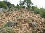 2010-09-09_Korcula_Medugorje_Mostar_083.jpg