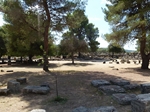 2013-09-06_Olimpia_Nafplion_Korynt_056.jpg