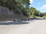 2013-09-06_Olimpia_Nafplion_Korynt_137.jpg