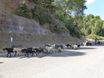 2013-09-06_Olimpia_Nafplion_Korynt_138.jpg