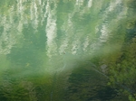 2013-09-11_Kanion_Matka_Skopje_081.jpg